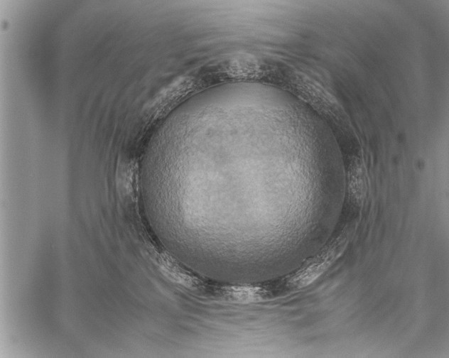 X0000058130233200510171344