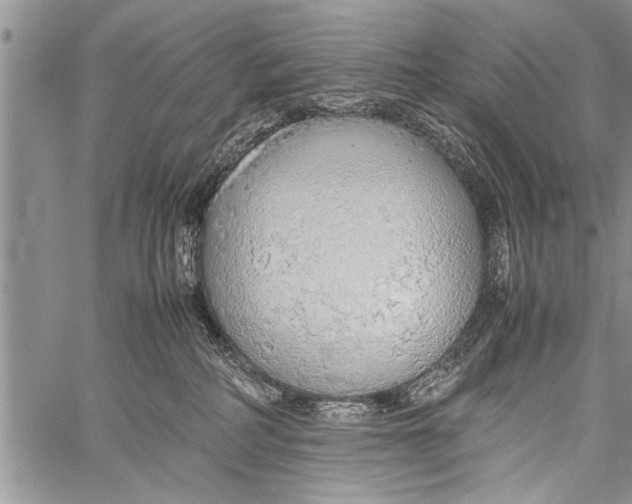 X0000058130234200510171344