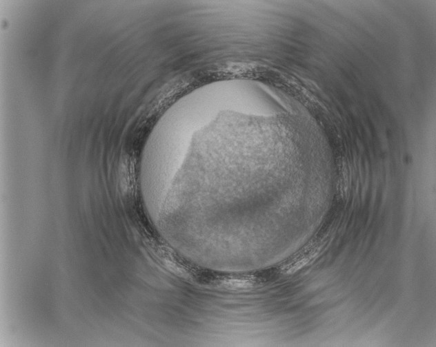 X0000058130236200510171344