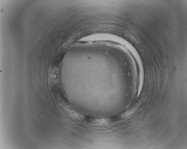 X0000058130237200510171344