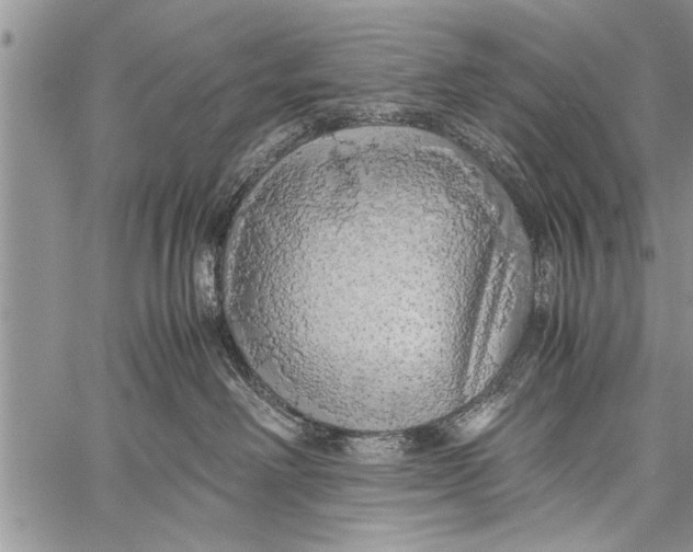 X0000058130238200510171344