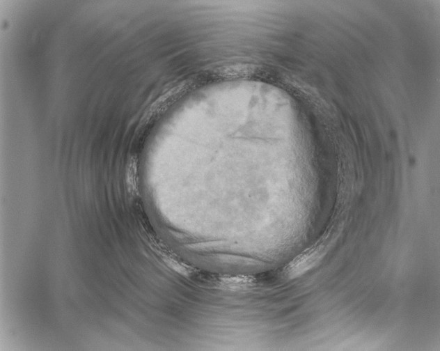 X0000058130240200510171344