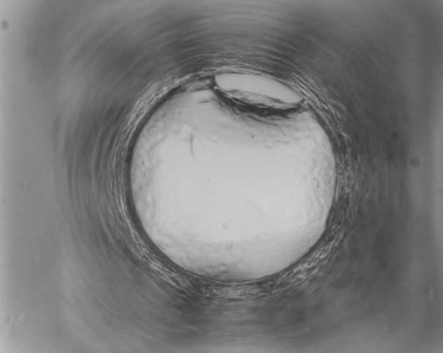 X0000058130241200510171343