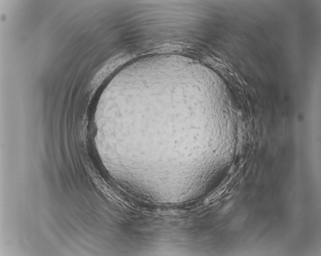 X0000058130242200510171343