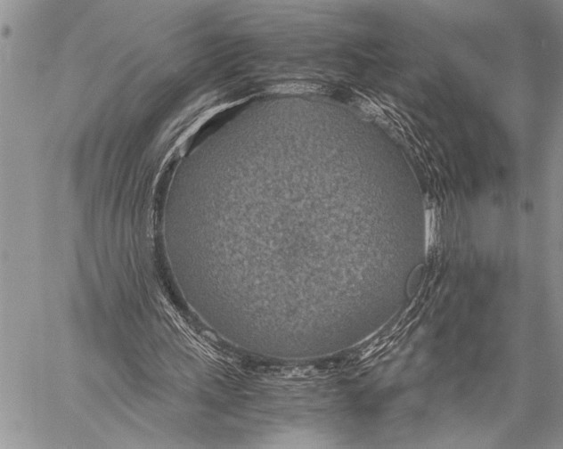 X0000058130243200510171343