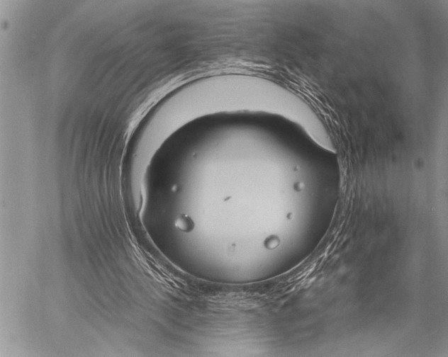 X0000058130244200510171344