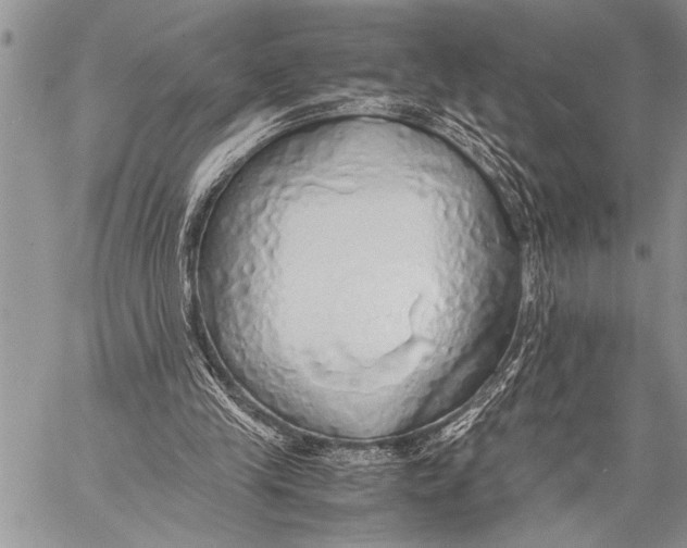 X0000058130245200510171344