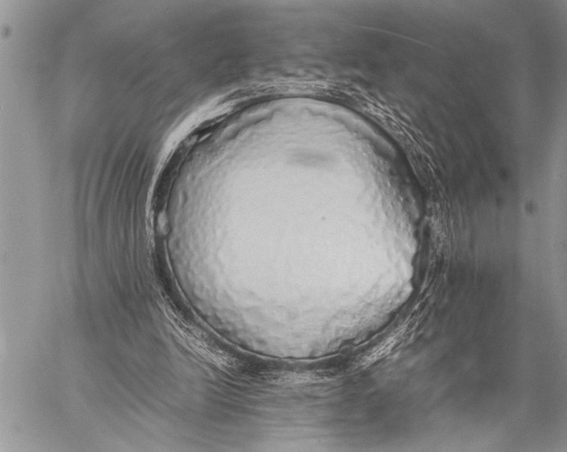 X0000058130246200510171344