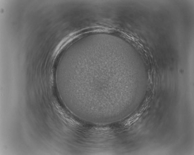 X0000058130247200510171344