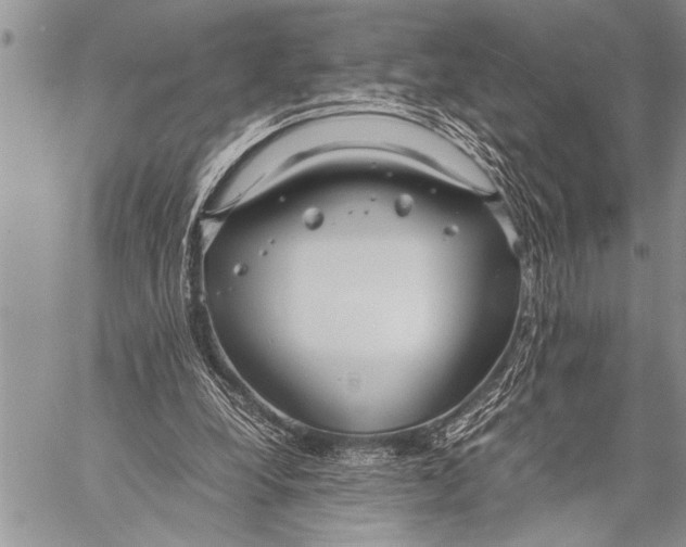 X0000058130248200510171344