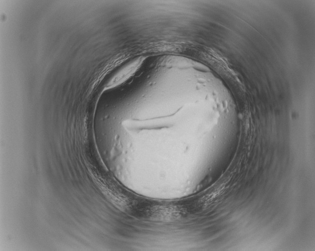 X0000058130250200510171344