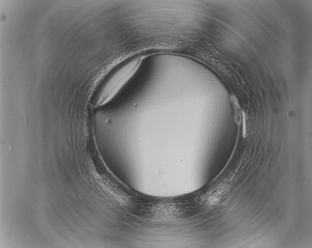 X0000058130252200510171344