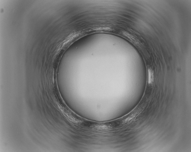 X0000058130253200510171344