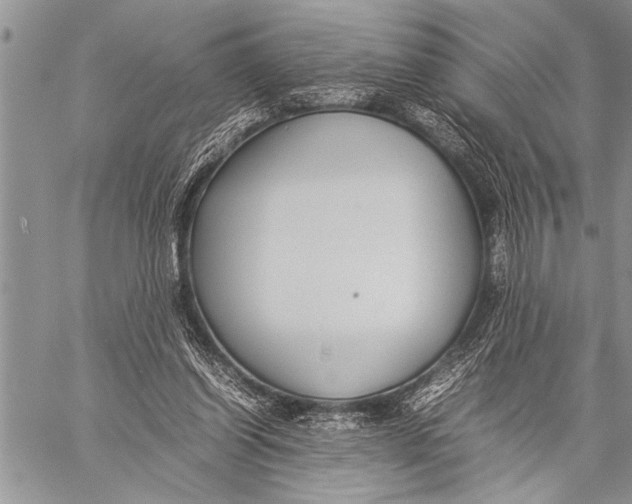 X0000058130254200510171344