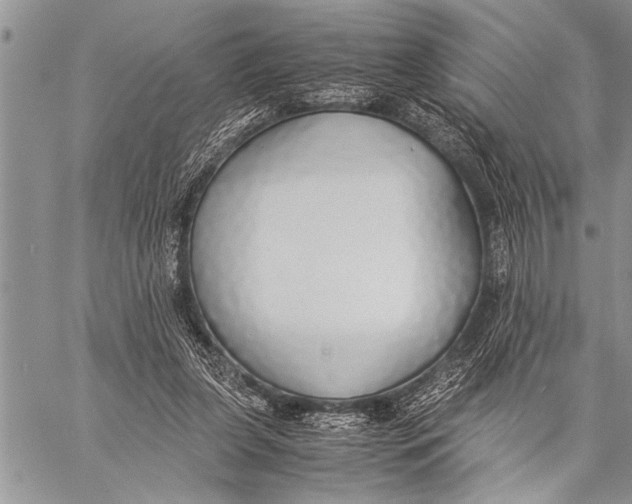 X0000058130255200510171344