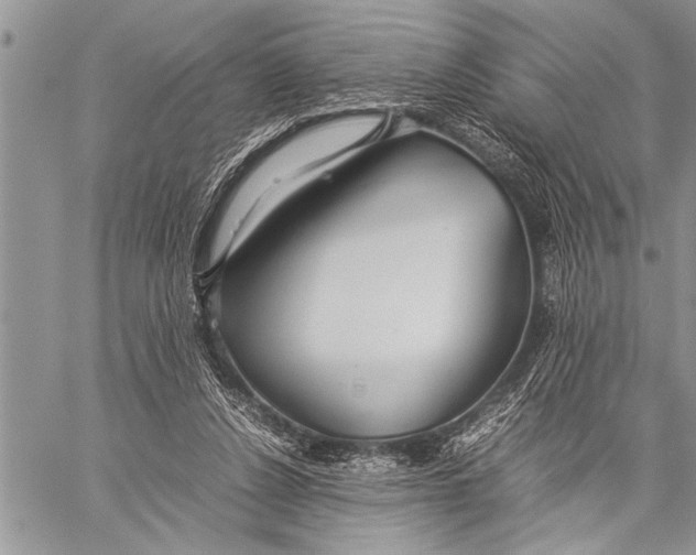 X0000058130256200510171344