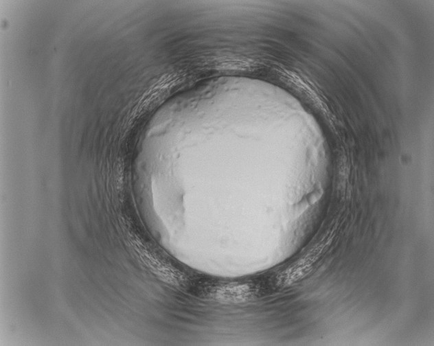 X0000058130257200510171344