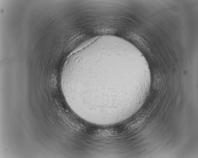 X0000058130259200510171344