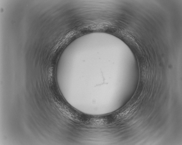 X0000058130260200510171344