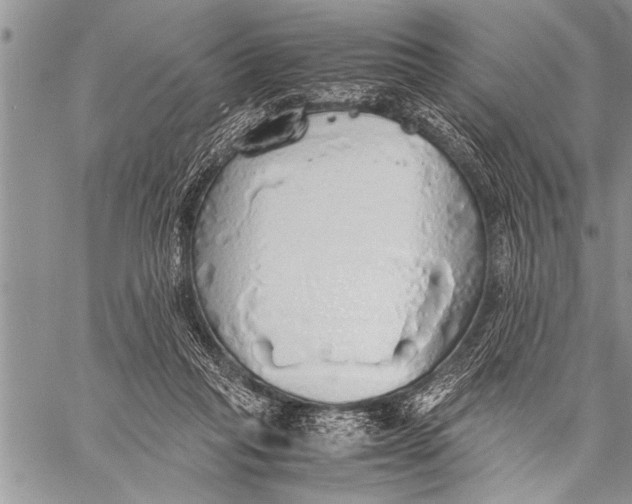 X0000058130261200510171344