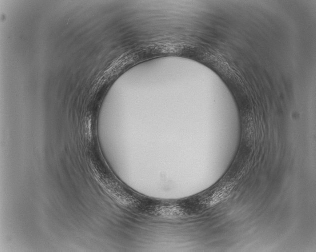 X0000058130262200510171344