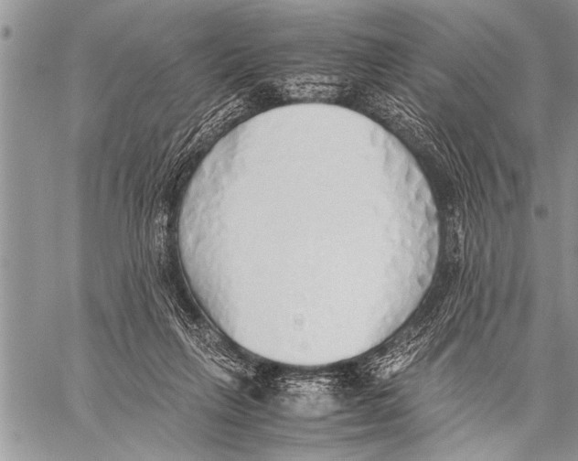 X0000058130263200510171344