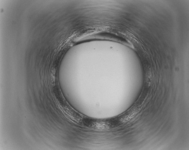 X0000058130264200510171344