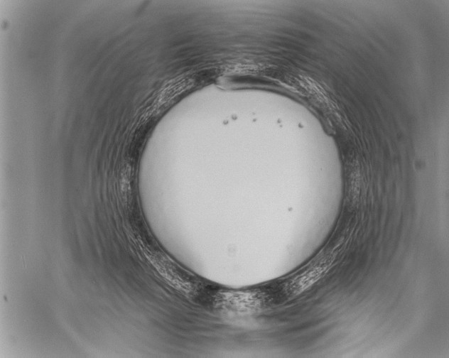 X0000058130265200510171344