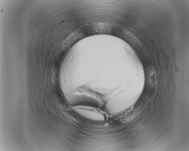 X0000058130266200510171344