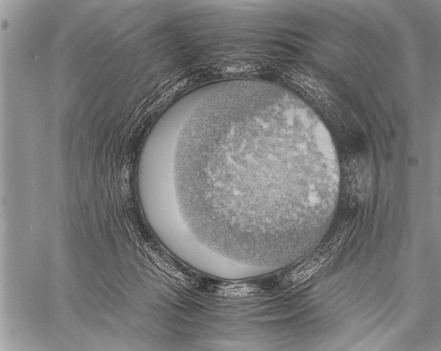 X0000058130269200510171344