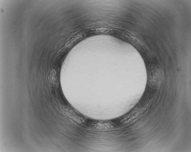 X0000058130270200510171344