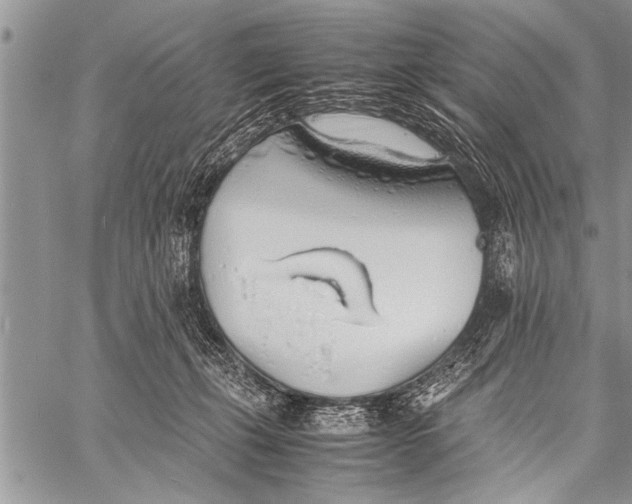 X0000058130271200510171344