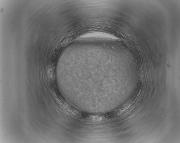 X0000058130272200510171344