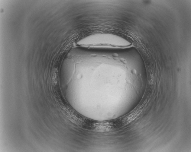 X0000058130273200510171344