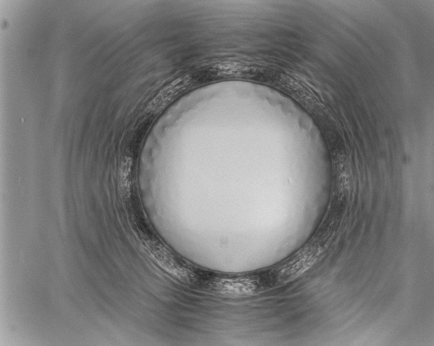 X0000058130275200510171344