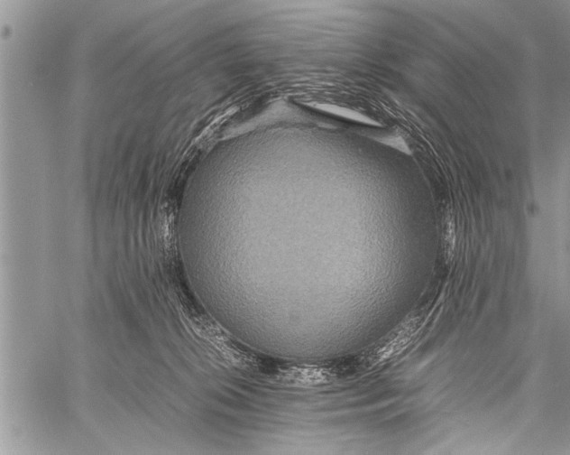 X0000058130276200510171344