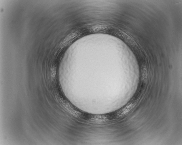 X0000058130278200510171344