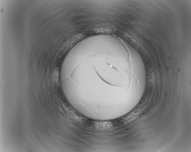 X0000058130281200510171344