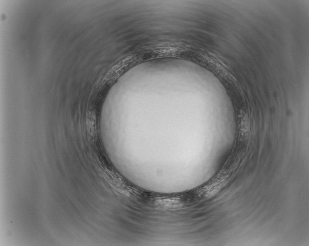 X0000058130283200510171344