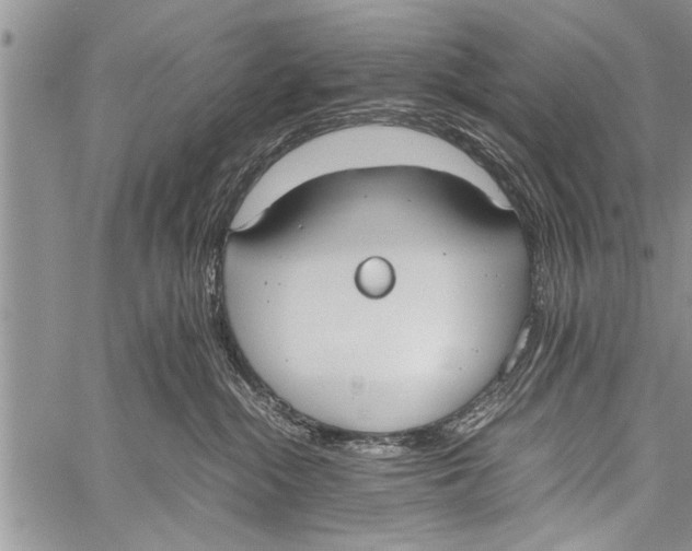 X0000058130284200510171344