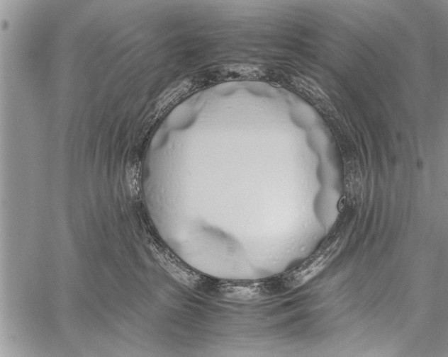 X0000058130285200510171344