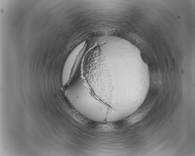 X0000058130286200510171344