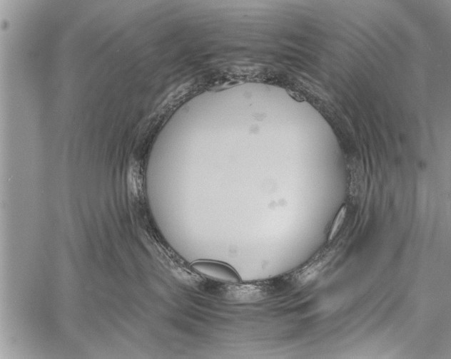 X0000058130287200510171344