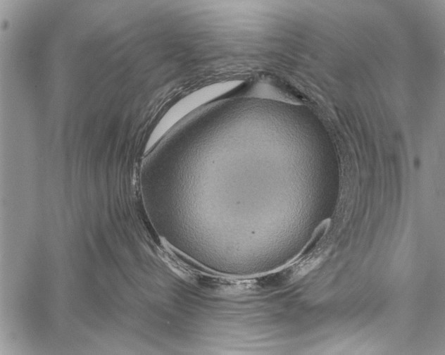 X0000058130288200510171344