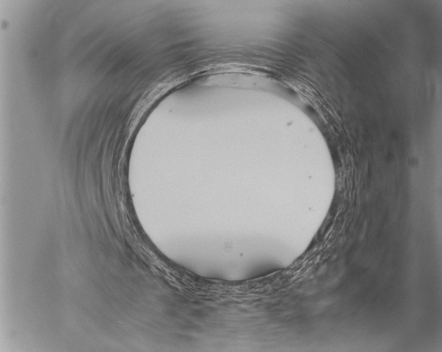 X0000058130289200510171343