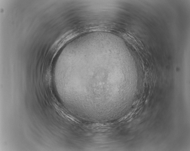 X0000058130290200510171343