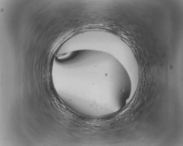 X0000058130293200510171343