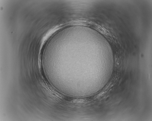 X0000058130294200510171343