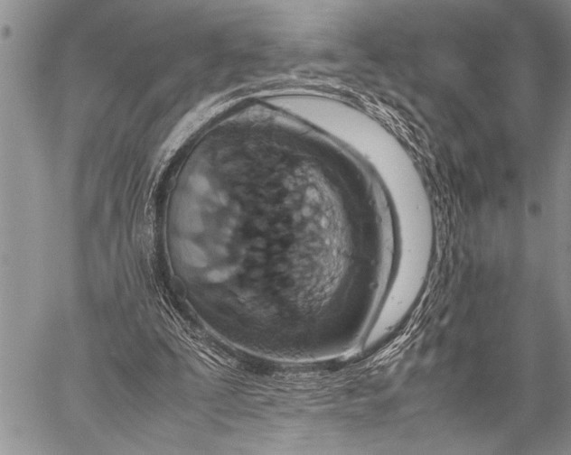 X0000058130295200510171343