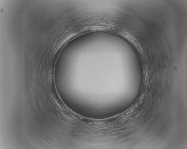 X0000058130297200510171343